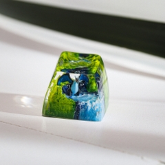 Pokemon - Mega Charizard Artisan Keycap Breakwooden