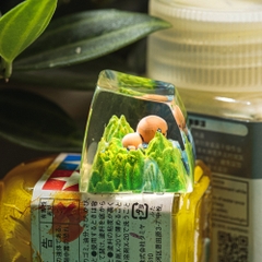 Pokemon - Trapinch Artisan Keycap Breakwooden 3