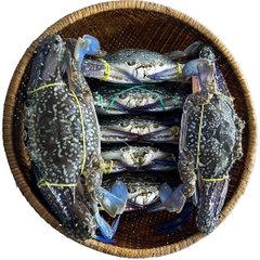 Ghẹ Xanh Sống 5-7 Con/kg