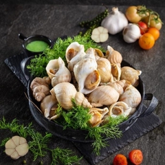 Ốc Bulot Ireland Đông Lạnh (Size 20-30 Con/Kg)
