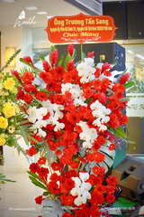 Vinh Phát