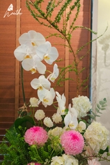 Hộp Hoa Vươn Lên