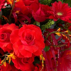 Chậu Hoa Hồng Phát - Hoa Tươi Khai Trương