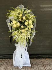 (HT) CÕI VĨNH HẰNG