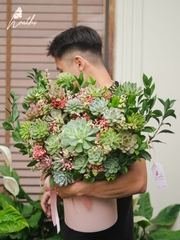 Lẵng Sen Đá Nắng Ấm 6