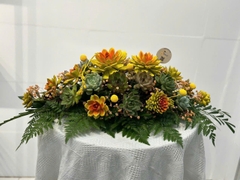 (SĐ) SEN ĐÁ ĐỂ BÀN OVAL