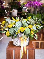 TIỀN TÀI & SỨC KHỎE