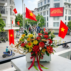 Đi giữa sao vàng