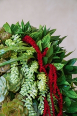 Mã đáo thành công HT27