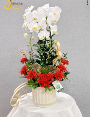 (LM) VŨ ĐIỆU LAN VÀ SEN