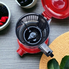 Máy Ép Chậm, Ép Trái Cây Nguyên Quả, 2 Lưới Lọc BENNIX BN-09SJ