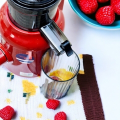 Máy Ép Chậm, Ép Trái Cây Nguyên Quả, 2 Lưới Lọc BENNIX BN-09SJ