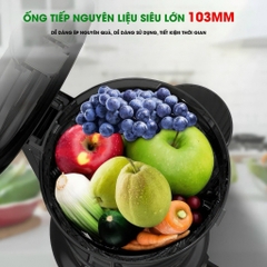 Máy Ép Chậm, Ép Trái Cây Nguyên Quả, 2 Lưới Lọc BENNIX BN-09SJ