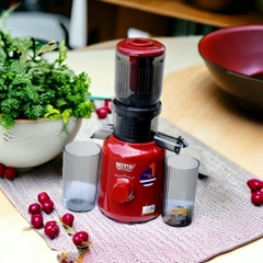 Máy Ép Chậm, Ép Trái Cây Nguyên Quả, 2 Lưới Lọc BENNIX BN-09SJ
