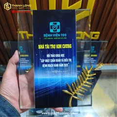 Cúp vinh danh Thủy tinh, Pha lê - Bệnh viện 199 Đà Nẵng