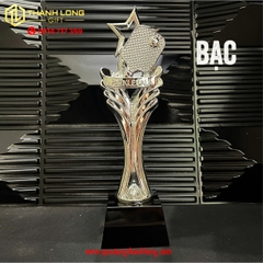 CÚP PICKLEBALL KIM LOẠI VÀNG – BẠC – ĐỒNG - p08