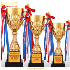Cúp bóng đá kim loại - in logo theo yêu cầu