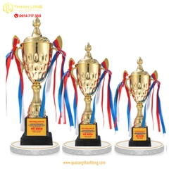 Cúp bóng đá kim loại - in logo theo yêu cầu