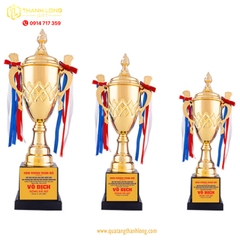 Cúp bóng đá kim loại - in logo theo yêu cầu