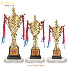 Cúp bóng đá kim loại - in logo theo yêu cầu MÃ 7708