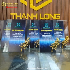 Cúp vinh danh Thủy tinh, Pha lê - Bệnh viện 199 Đà Nẵng
