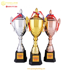 Cúp bóng đá kim loại - in logo theo yêu cầu