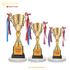 Cúp bóng đá kim loại - in logo theo yêu cầu