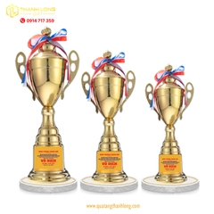 Cúp bóng đá kim loại - in logo theo yêu cầu