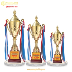 Cúp bóng đá kim loại - in logo theo yêu cầu