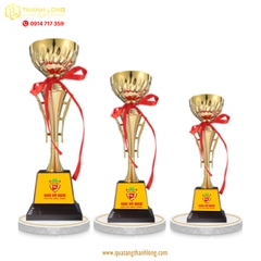 Cúp Pickleball kim loại  - in logo theo yêu cầu - 911