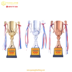 Cúp bóng đá kim loại - in logo theo yêu cầu