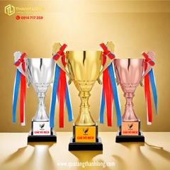 Cúp bóng đá kim loại - in logo theo yêu cầu - 9904