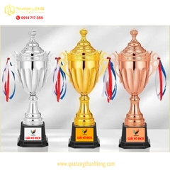 Cúp bóng đá kim loại - in logo theo yêu cầu - H195