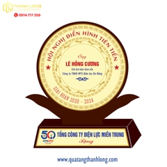 Kỷ niệm chương gỗ đồng - Quà tặng ĐIỆN LỰC