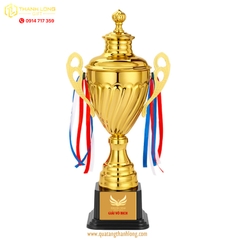 Cúp bóng đá kim loại - in logo theo yêu cầu - 1502