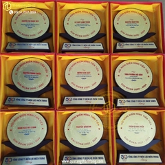 Kỷ niệm chương gỗ đồng - Quà tặng ĐIỆN LỰC