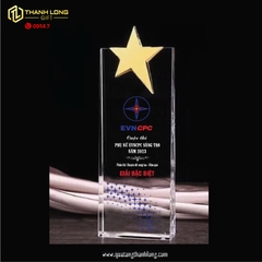 Kỷ niệm chương Vinh Danh