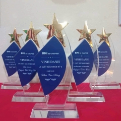 Kỷ niệm chương Pha lê