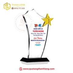Kỷ niệm chương Quận Cẩm Lệ