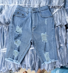 NGỐ NHẠT RÁCH 4289