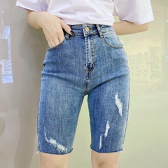 NGỐ XANH RÁCH
