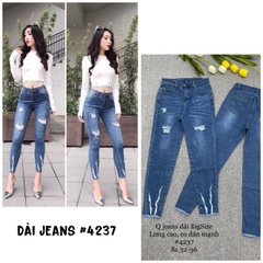 Q DÀI X.ĐẬM RÁCH 4237