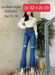 LOE X.ĐẬM RÁCH 2 ĐÙI 4435