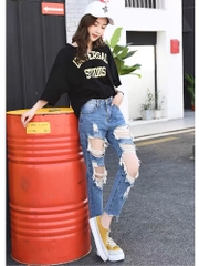 Quần baggy tơi tả 4518