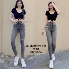 DÀI XÁM XƯỚC 4366