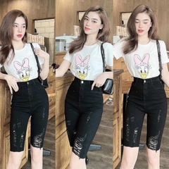 NGỐ ĐEN RÁCH 0076