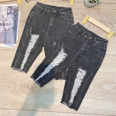NGỐ XÁM RÁCH NHIỀU 0083