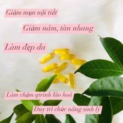 Tinh dầu hoa anh thảo gma 365v