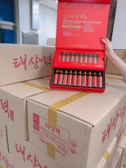 Thiên sâm nước 6 năm tuổi 20 ống 20ml
