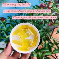 Tinh dầu hoa anh thảo gma 365v